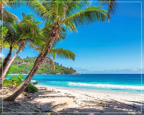 Beautiful Beach